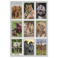 Dierentuin dieren stickerset   - - thumbnail