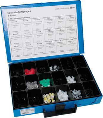 Dresselhaus Sort.special attachments renault/psa 170 pcs.