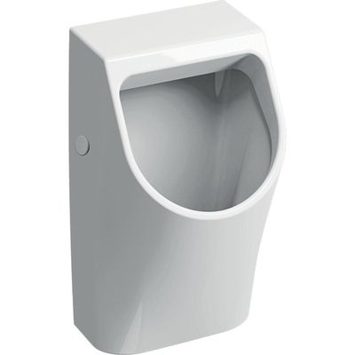 Geberit 300 urinoir 90 32,5x30cm met achterinlaat wit s8602500000g