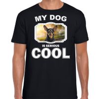 Dwergpinscher honden t-shirt my dog is serious cool zwart voor heren - thumbnail