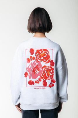 Colourful Rebel Sweater WS417096