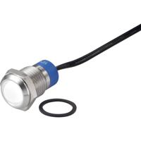 TRU COMPONENTS TC-7495236 LED-lamp Wit 12 V - thumbnail