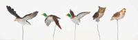 Assorted birds - Lemax