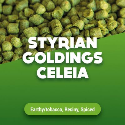 Hopkorrels Styrian Goldings Celeia 2024 5 kg
