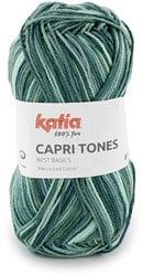 Katia Capri Tones 304 Licht hemelsblauw-Groen