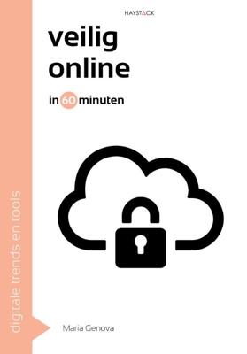 Veilig online in 60 minuten (Paperback)