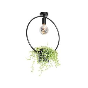 QAZQA Moderne plafondlamp zwart met glas rond - Roslini