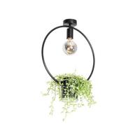 QAZQA Moderne plafondlamp zwart met glas rond - Roslini - thumbnail