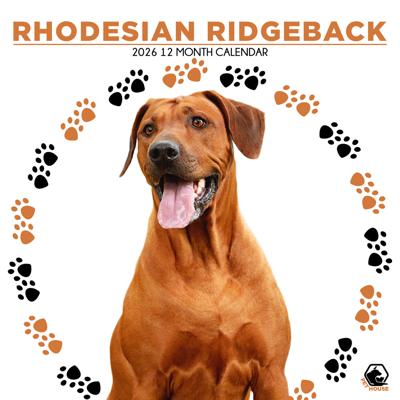 Rhodesian Ridgeback Kalender 2026