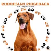Rhodesian Ridgeback Kalender 2026