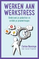 Werken aan werkstress (Paperback)