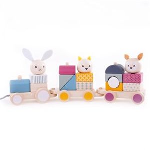 Houten Trein met Dieren