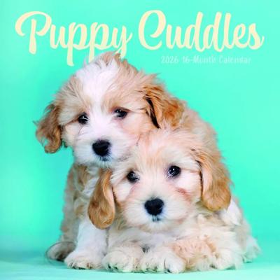 Puppies Kalender 2026