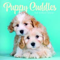 Puppies Kalender 2026