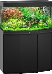 Juwel aquarium Vision 180 LED met filter zwart - Gebr de boon