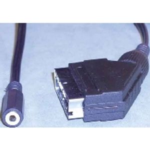 e+p VC 156 L audio kabel 0,1 m SCART (21-pin) 3.5mm Zwart