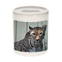 Foto gevlekte jaguar spaarpot 9 cm - Cadeau jaguars liefhebber   -