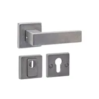 Intersteel Set achterdeurbeslag Vierkant Deurkruk Amsterdam met SKG3 veiligheidsrozetten rvs getrommeld