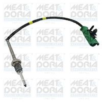 Sensor, uitlaatgastemperatuur 12395