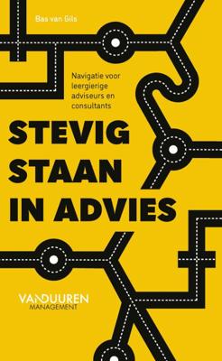 Stevig staan in advies (Paperback)