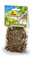 JR Farm knaagdier paardenbloemwortelen 50 gram 12910 - Gebr. de Boon