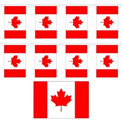 Canada Vlaggetjes vlaggenlijn slinger - 2x - 900 cm - polyester - binnen/buiten - versiering/feestar