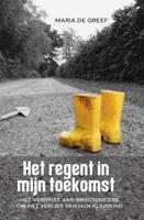 Het regent in mijn toekomst (Paperback)