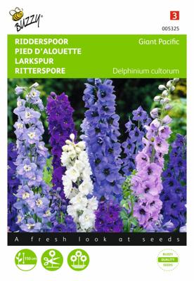 Delphinium cultorum Giant Pacific - Buzzy