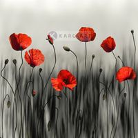 Karo-art Schilderij - Klaprozen, moderne kunst, Zwart rood wit , 3 maten , Wanddecoratie - thumbnail