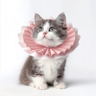 Aino Zachte beschermkraag voor kleine kat of kitten - Roze - Maat S