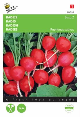 Radijs Saxa 2 - Buzzy