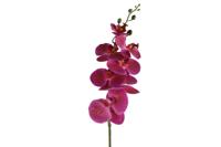 Kunstbloem Phalaenopsis paars - Countryfield