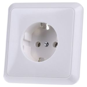5520 WW  - Socket outlet (receptacle) 5520 WW