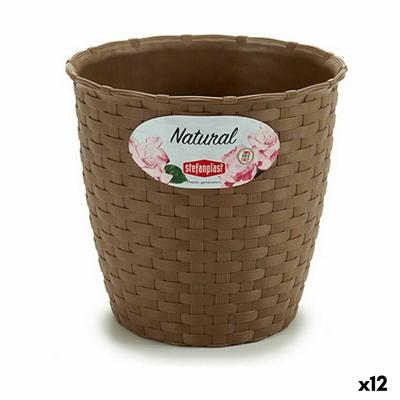 Stefanplast Bruin Plastic 14 x 13 x 14 cm (12 Stuks)