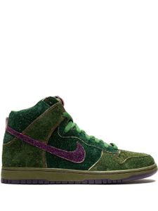 Nike baskets Dunk Premium SB - Vert