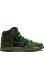 Nike baskets Dunk Premium SB - Vert