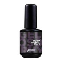 Astonishing Nails Gelosophy #030 Runaway Grape 15ml