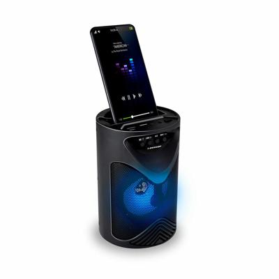 Dunlop TWS 15 W Zwart USB Bluetooth luidspreker