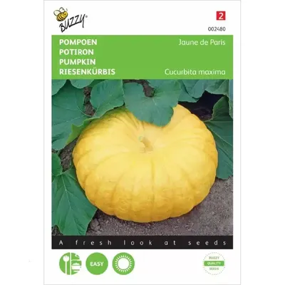 Pompoen Gele Reuzen