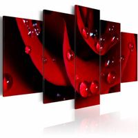 Schilderij - Roos met dauwdruppels , rood , 5 luik