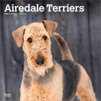 Airedale Terrier Kalender 2026