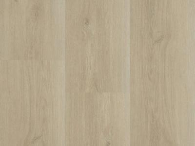 Montinique - PVC trap slab 5460 - 153 x 125 cm (PVC)