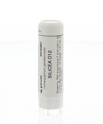 Homeoden Heel Silicea D12 6 Gram