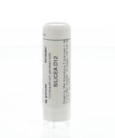 Homeoden Heel Silicea D12 6 Gram