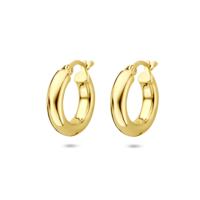 Verguld Zilveren Oorringen Geel - 17x4,5mm - 925 Zilver, 1 Micron