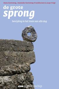 De grote sprong (Paperback)