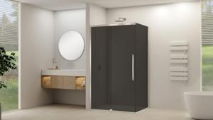 Zijwand Van Rijn Products ST09 tbv Hoekcabine 100x200 cm 8 mm Rookglas Incl. Beslag Geborsteld RVS