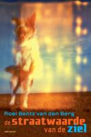De straatwaarde van de ziel (Paperback)