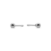 Oorbelknopjes rond 3 mm - Stainless steel - 2 mm - Zilver