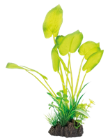 Superfish Art Plant 25 cm Echinodorus